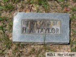 Infant Taylor
