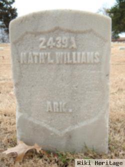 Nathaniel Williams