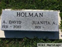 A David Holman