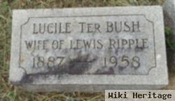 Lucile Ter Bush Ripple