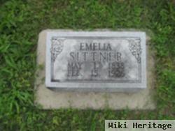 Amelia Kester Sittner