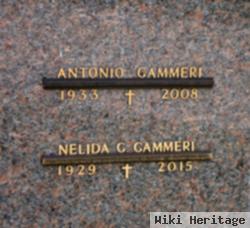 Nelida G. Gammeri