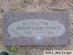 Robert Wayne Downey