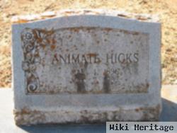 Animate Hicks