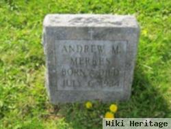 Andrew M Merkes