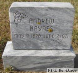 Andrew Haynes