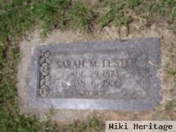 Sarah M. Lester