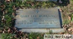 Gary Lee Borland