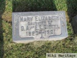 Mary Elizabeth Distel