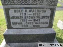 Sophia Jones Waldron