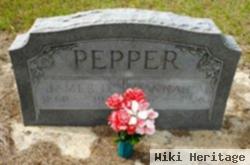 Hannah Angeline Nelson Pepper