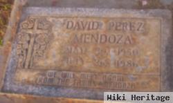 David Perez Mendoza