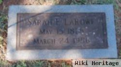 Sarah E Larowe