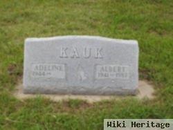 Albert Kauk