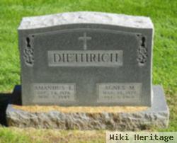 Amandus E Diethrich