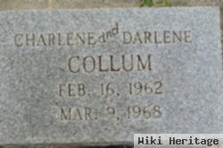 Darlene Collum