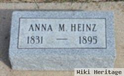 Anna M Heinz