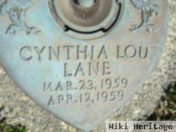 Cynthia L Lane