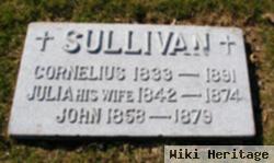 John Sullivan