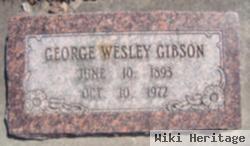 George Wesley Gibson