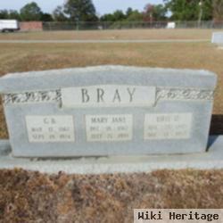 G B Bray