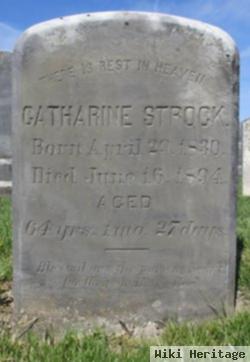 Catharine Strock