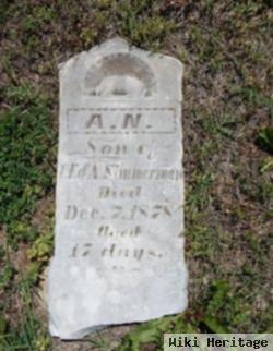 A. N. Zimmerman