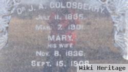 Mary Connelly Goldsberry