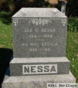 Melvin Nessa