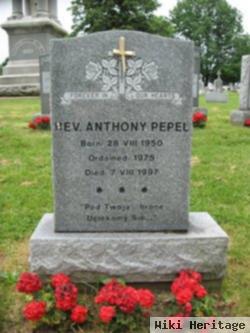 Rev Anthony Pepel