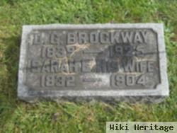 Darwin G Brockway