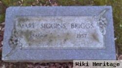 Mary Stewart Siggins Briggs