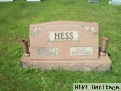 Herbert A. Hess