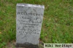 Wellington Hunsinger