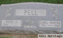 Carl Wayne Pell