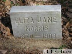 Eliza Jane Norris