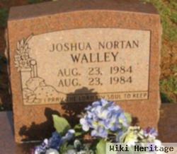 Joshua Nortan Wally