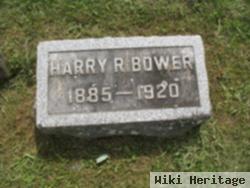 Harry Rowan Bower