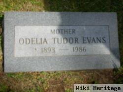 Odelia Tudor Evans