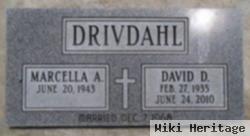 David D. Drivdahl