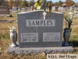 Kathryn C Conrad Samples