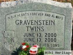 Twin Sons Gravenstein