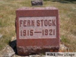 Fern Stock