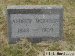 Andrew Morrison