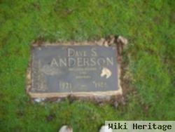 Dave S. Anderson