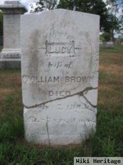 Lucy Cox Brown