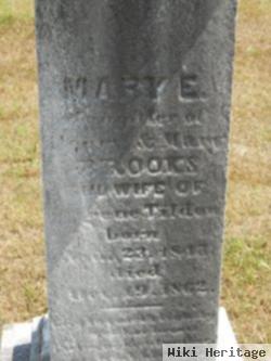 Mary E. Brooks Tilden