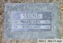 Harry John Seung