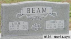 Lillie P Alexander Beam