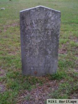 Laura P Catlett Lowery